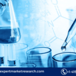 Glycidol Market Report