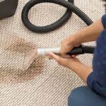 Why Regular Carpet Cleaning Services is Your Best Defense