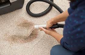 Why Regular Carpet Cleaning Services is Your Best Defense