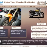 China Two-Wheeler Tire Market