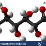 Glucaric Acid Market