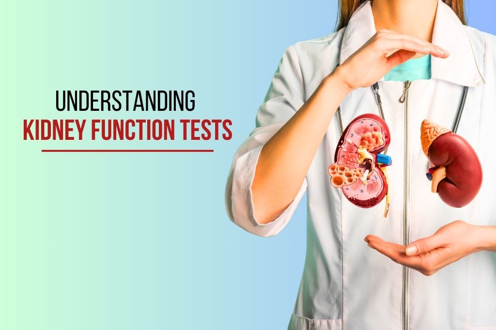 Kidney Function Tests