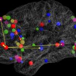 neuromatch