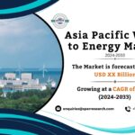 Asia Pacific Waste to Energy Market