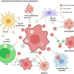 Exosome RNA