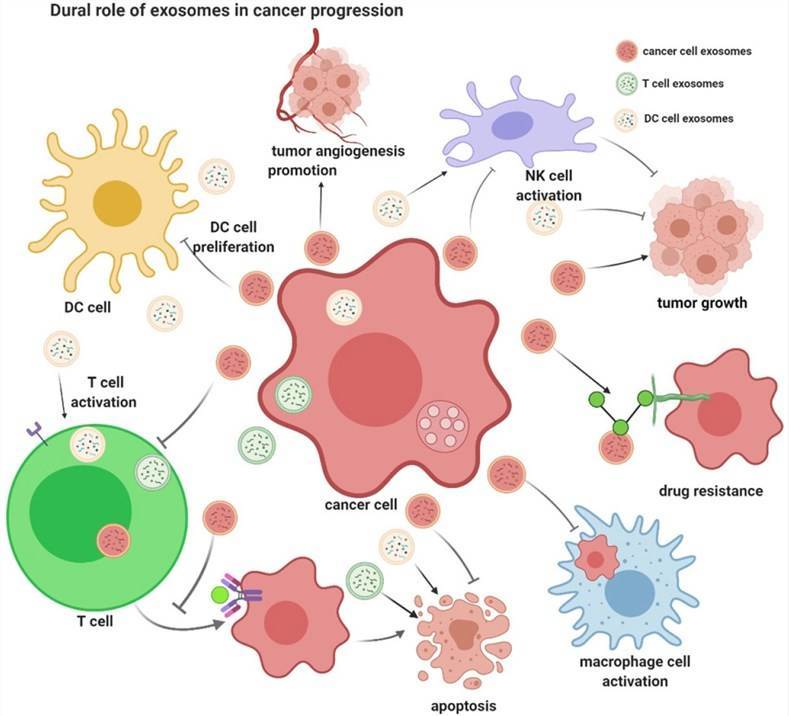 Exosome RNA