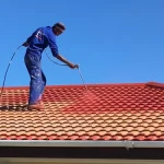 Roof painting