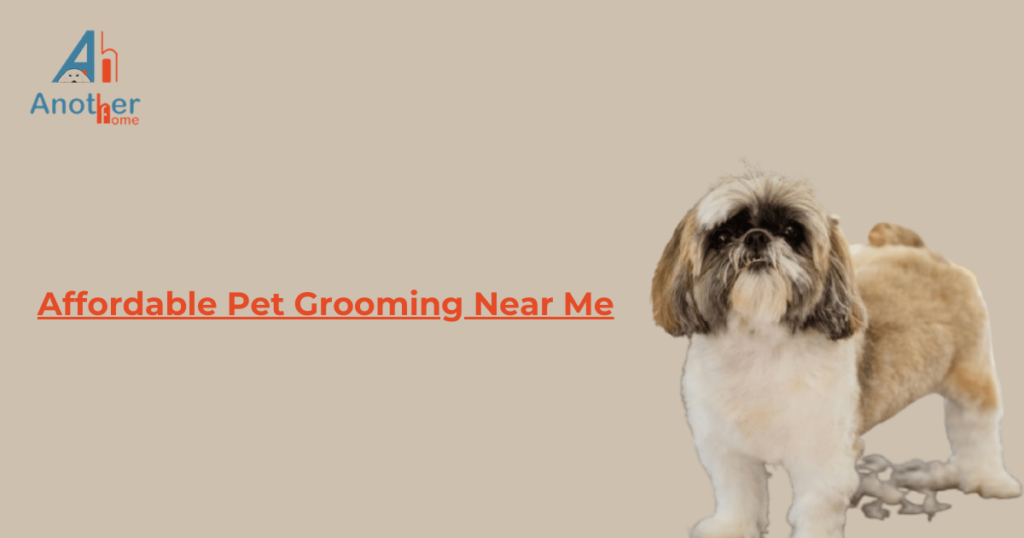 Affordable Pet Grooming Near Me - Another Home