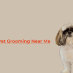 Quick Pet Grooming Appointments Near Me