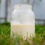 Raw Milk Houston