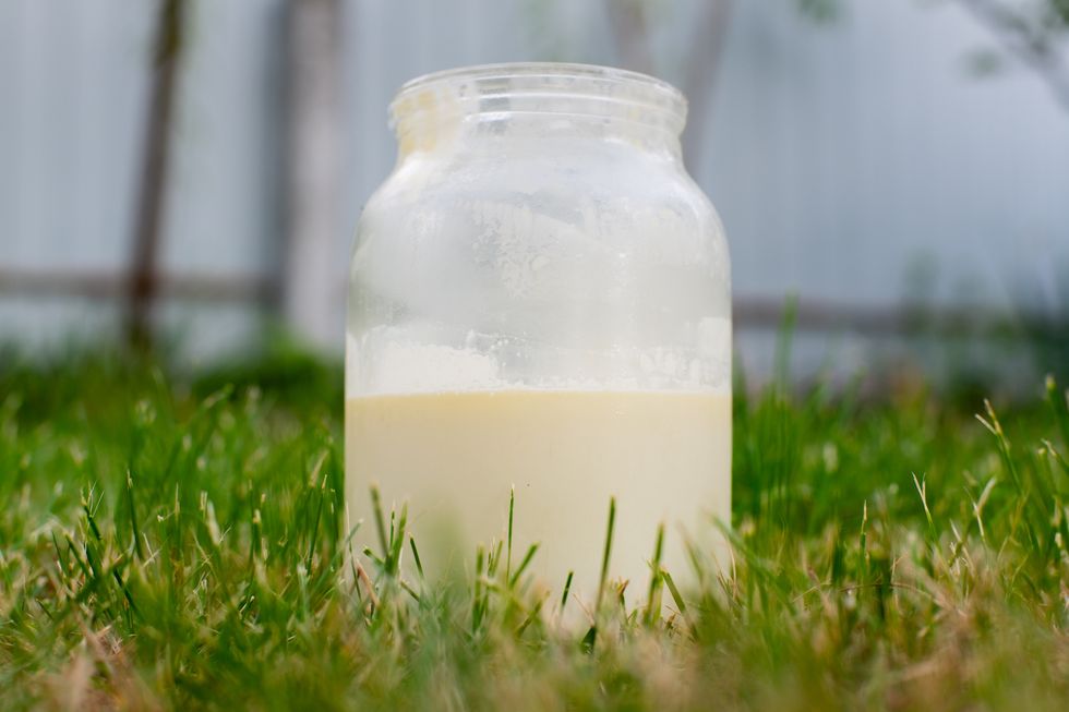 Raw Milk Houston