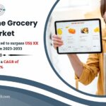 USA Online Grocery Market