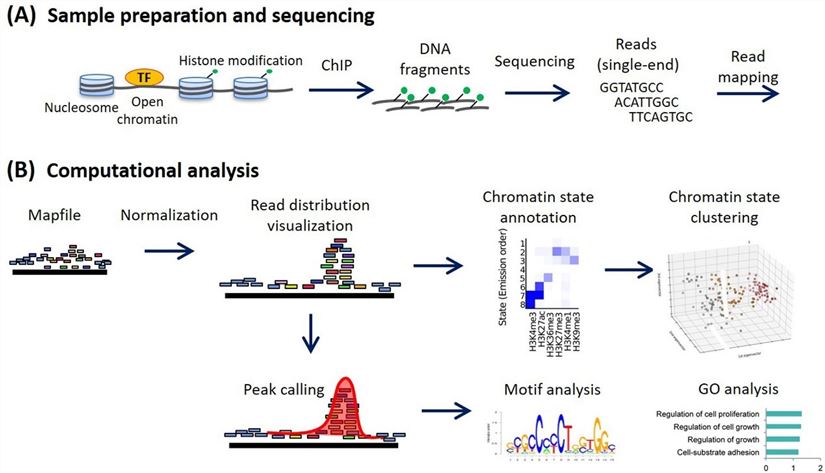 chip-seq-analysis