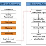 dna-methylation-sequencing-methods