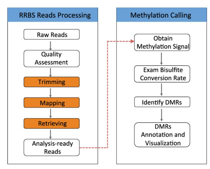 dna-methylation-sequencing-methods