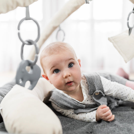 hanging toys for play gyms