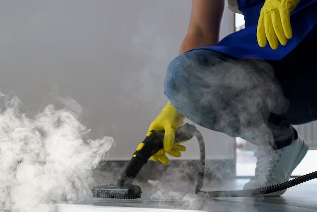 Steam Cleaning for Deep Sanitation