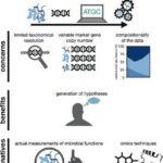 enhancing-microbiome-function-prediction