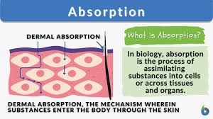 absorption