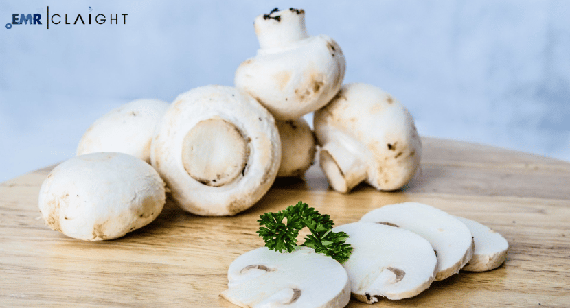 Mushroom Market